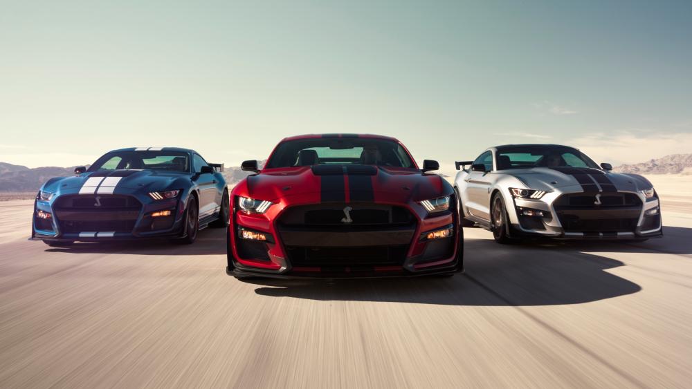 2020 Ford Shelby GT500 wallpaper