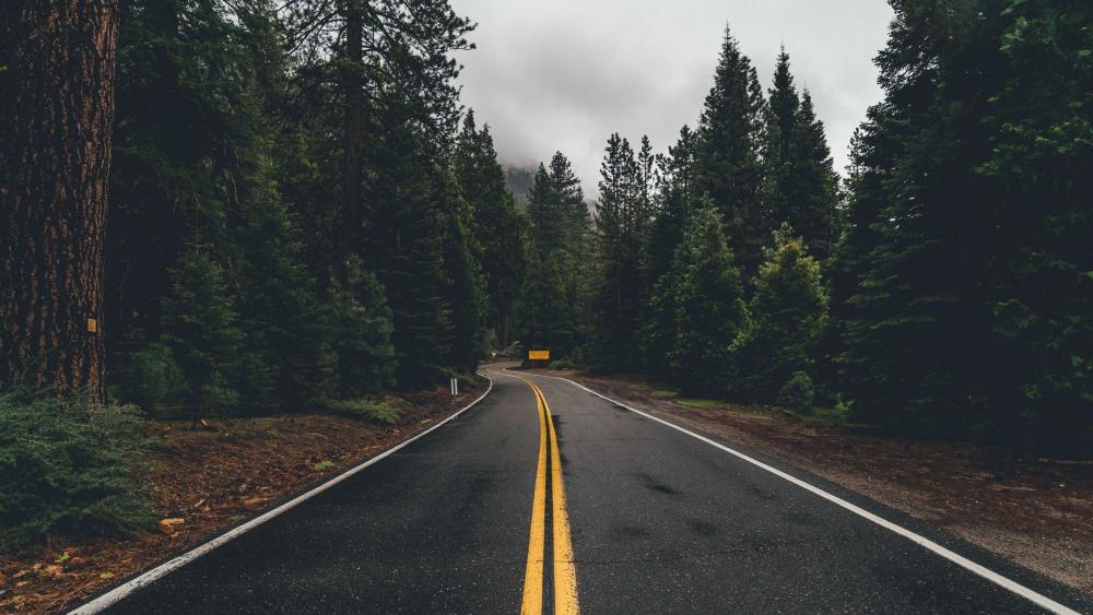 Wallpaper from nature category