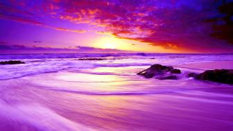 Purple beach sunset wallpaper
