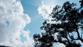 nature view wallpaper