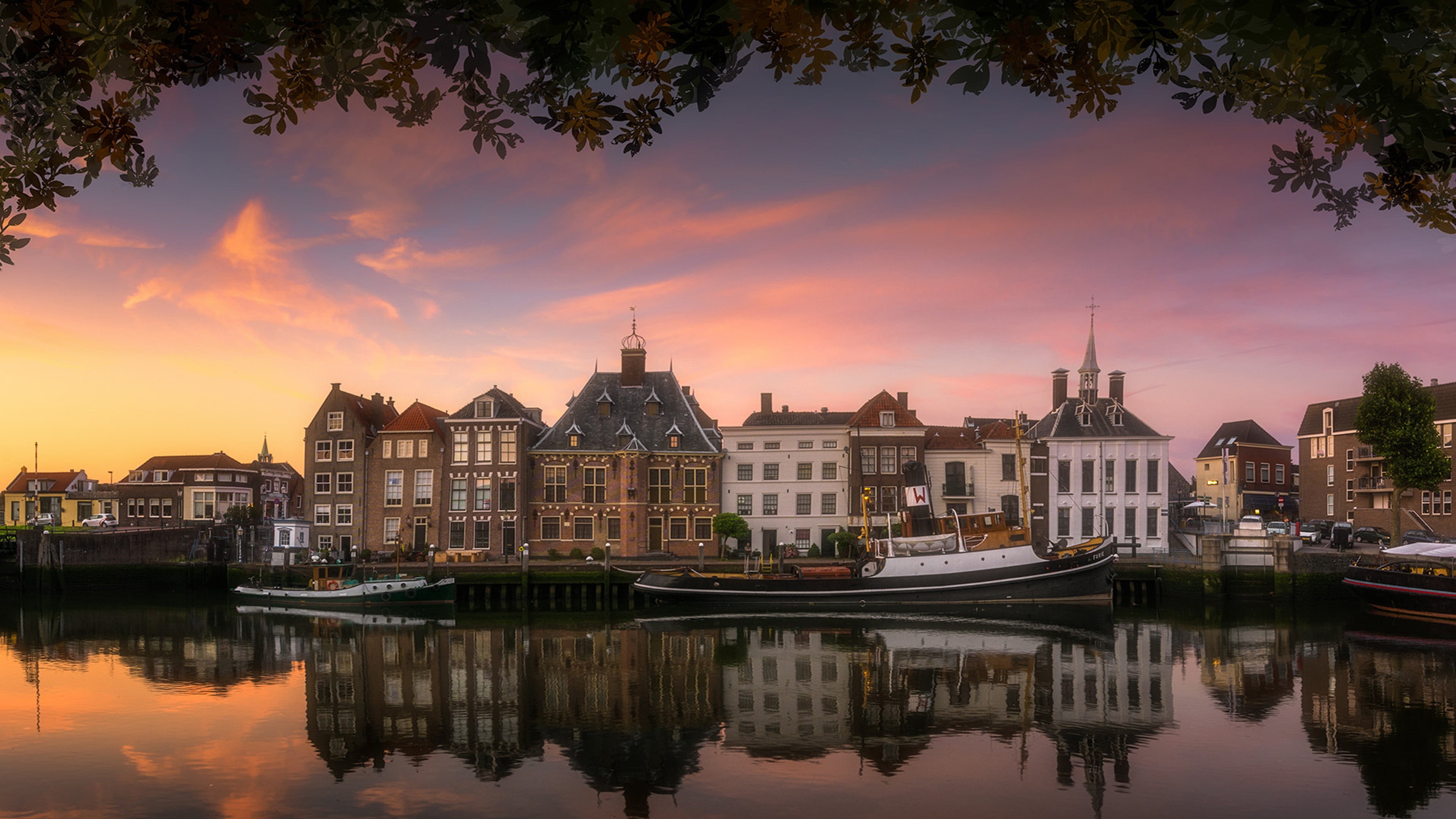 Maassluis backiee