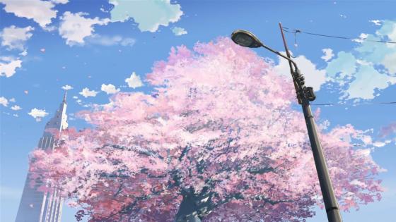 desktop-wallpaper-aesthetic-anime-cherry-blossom-sakura-trees-ae |  MyFigureCollection.net