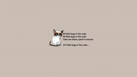 Programmer , Funny Coding HD wallpaper