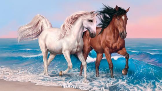 Horse wallpapers - backiee