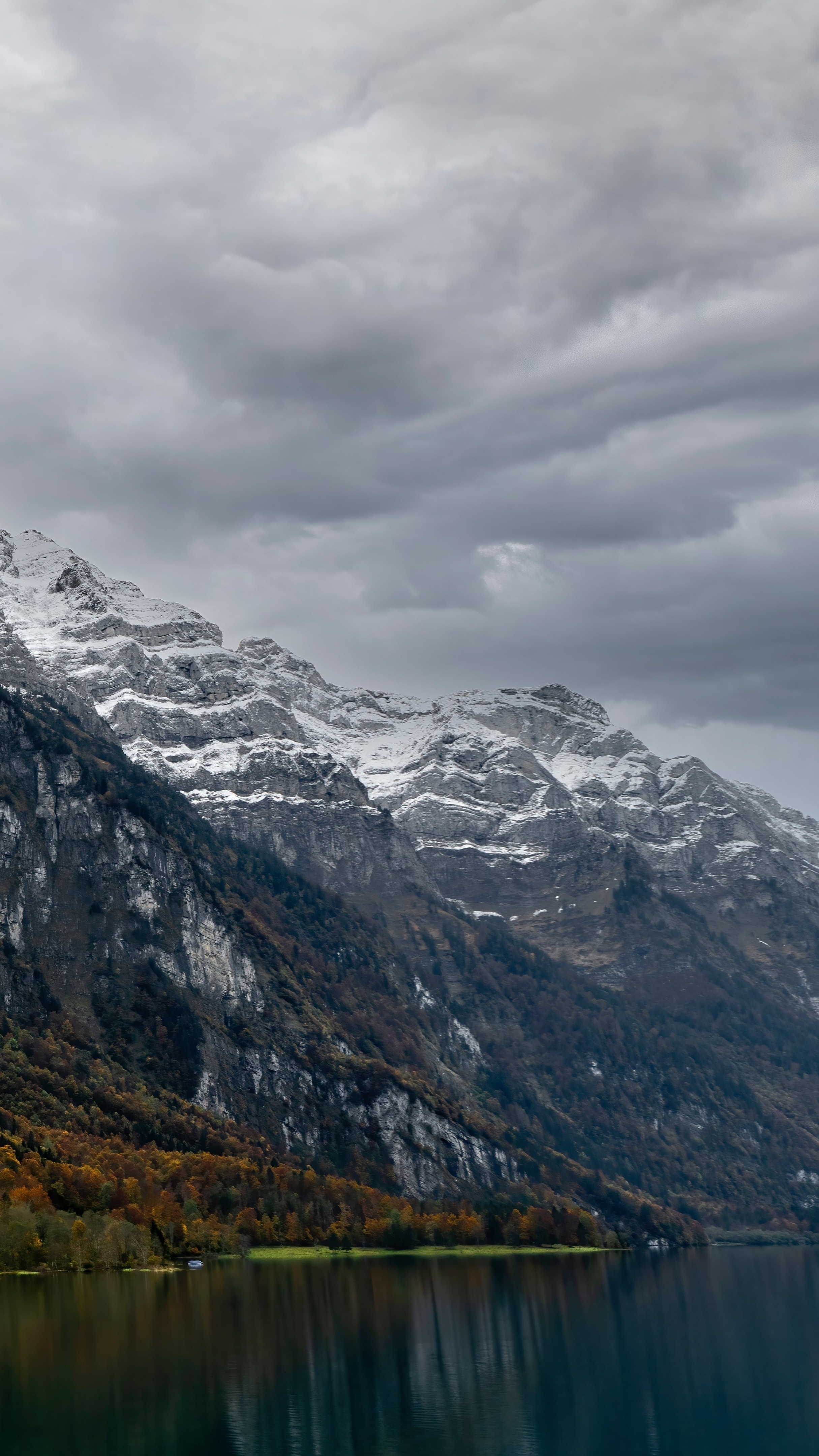 Swiss Alps Backiee Swiss Alps Backiee